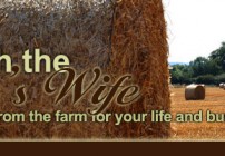 Friday’s With the Farmer’s Wife:  Do What You Love and Love What You Do