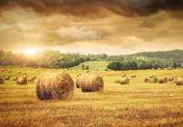 Making Hay While the Sun is Shining